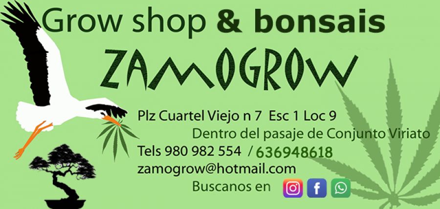 Zamogrow